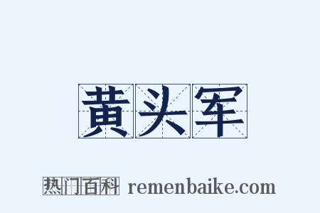 黄头军是什么意思的图片